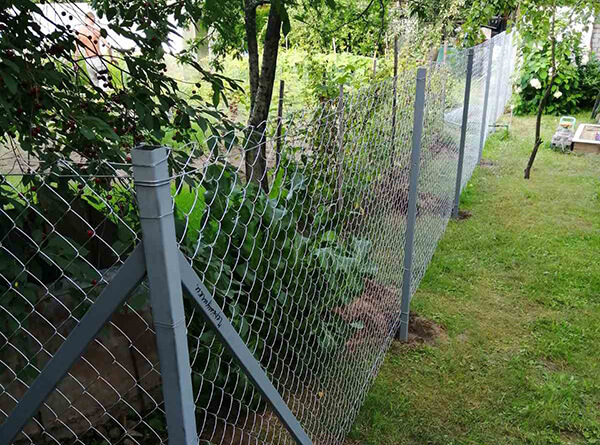 Заборы из металлического штакетника